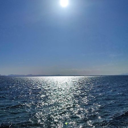 Apartamento Cerca De La Playa La Mata La Mata  Chambre photo